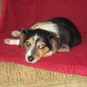 Meet your Posher, Margaret